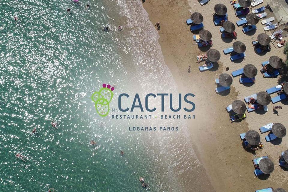 Cactus Beach Paros Logaras Buitenkant foto