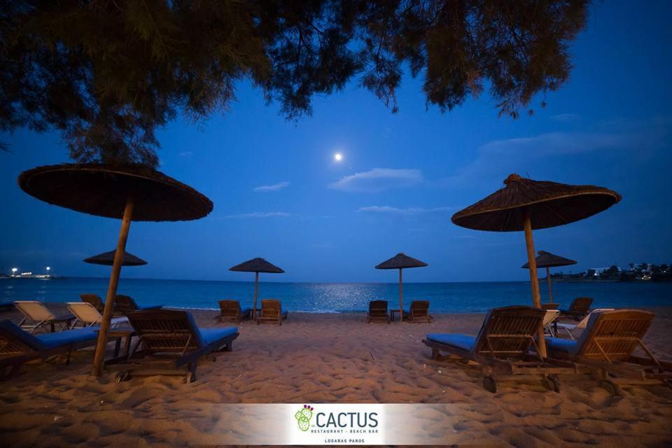 Cactus Beach Paros Logaras Buitenkant foto