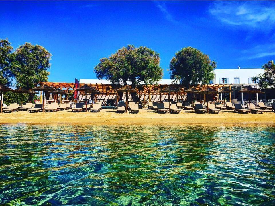 Cactus Beach Paros Logaras Buitenkant foto
